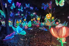 IMG20241123195235