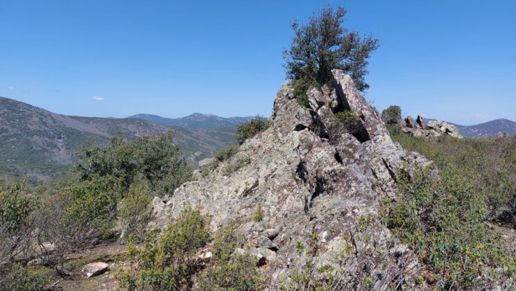 Subida al Pico Rocigalgo por Sierra Fría y bajada por Chorreras (Cabañeros)